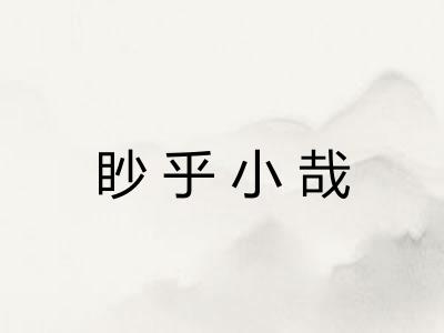 眇乎小哉