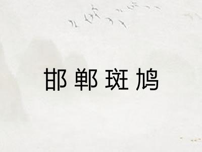 邯郸斑鸠