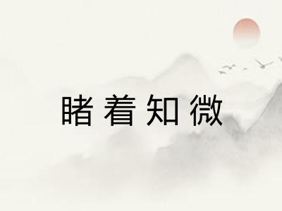 睹着知微