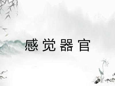 感觉器官