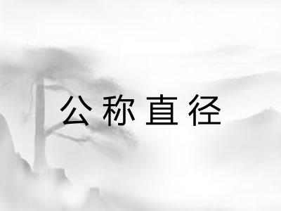 公称直径