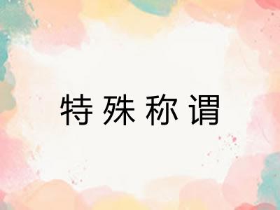 特殊称谓