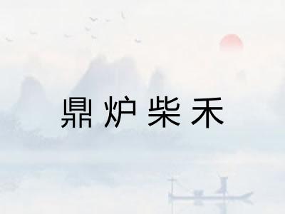 鼎炉柴禾