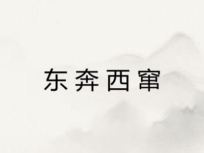 东奔西窜