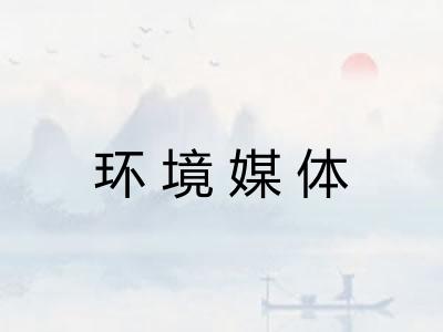 环境媒体
