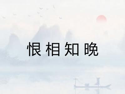 恨相知晚