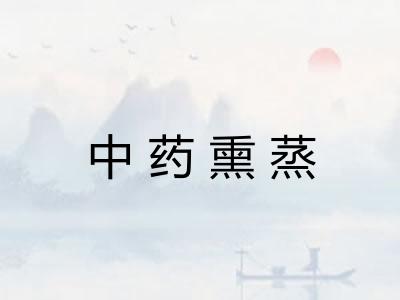 中药熏蒸