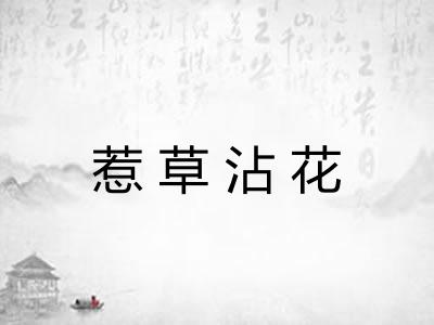 惹草沾花