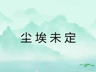 尘埃未定