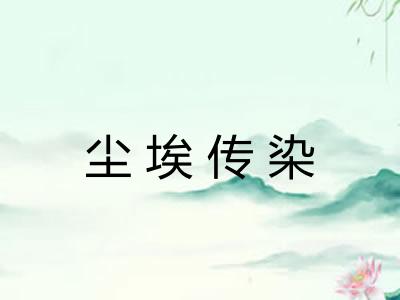 尘埃传染