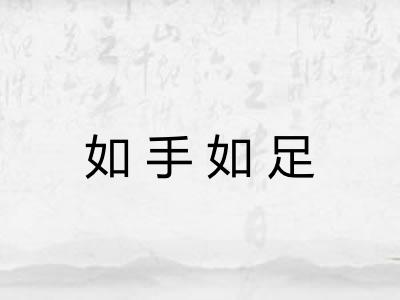 如手如足