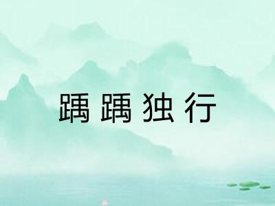 踽踽独行