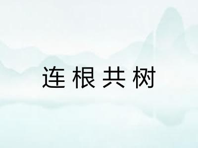 连根共树