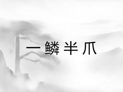 一鳞半爪