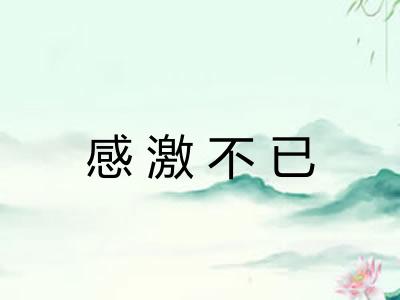 感激不已
