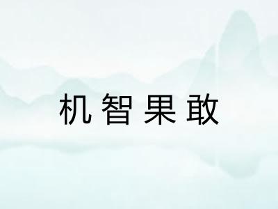 机智果敢