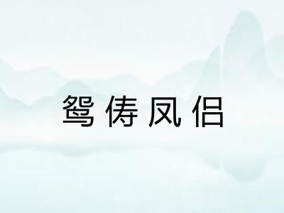 鸳俦凤侣