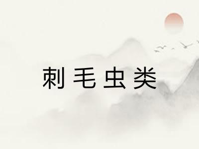 刺毛虫类
