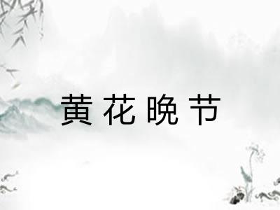 黄花晩节