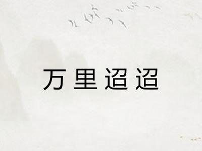 万里迢迢