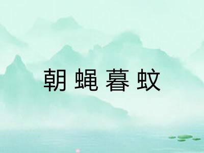 朝蝇暮蚊