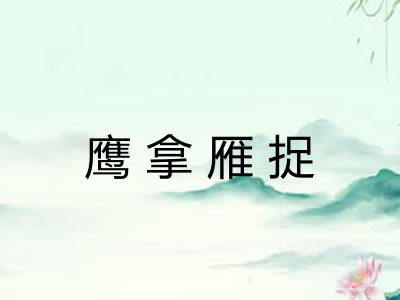 鹰拿雁捉