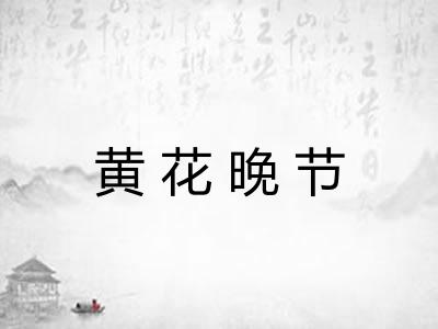 黄花晚节