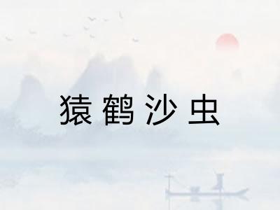 猿鹤沙虫