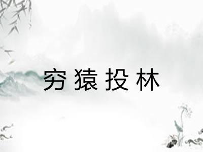 穷猿投林