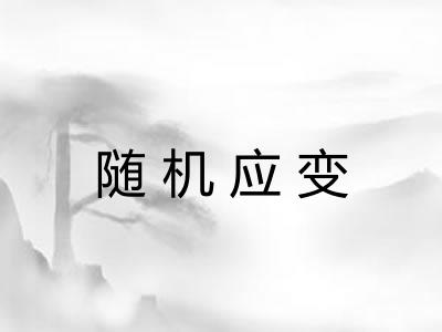 随机应变