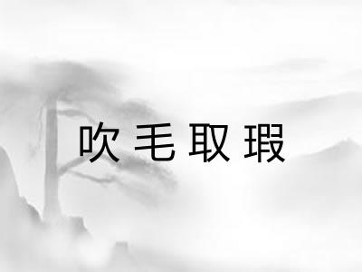 吹毛取瑕