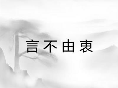 言不由衷