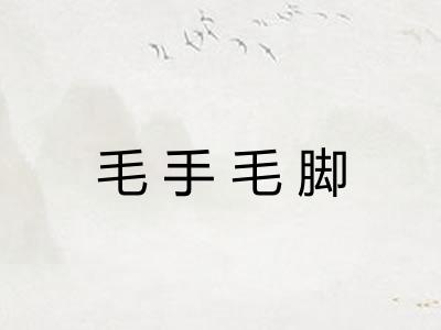 毛手毛脚