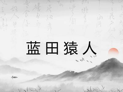 蓝田猿人