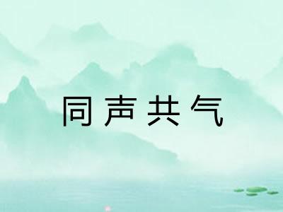 同声共气