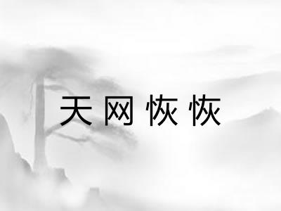 天网恢恢