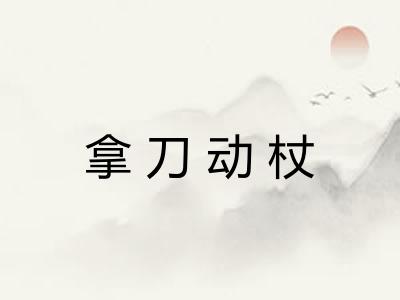 拿刀动杖