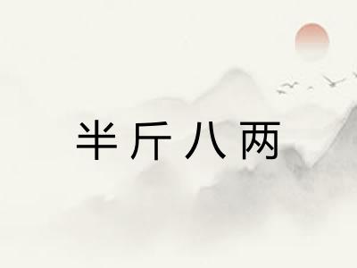 半斤八两
