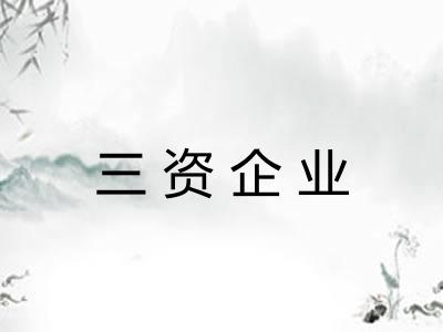 三资企业