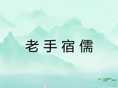 老手宿儒
