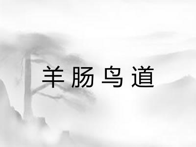 羊肠鸟道