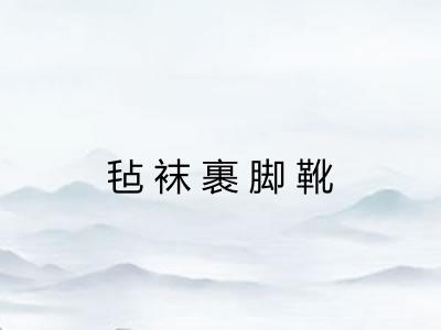 毡袜裹脚靴