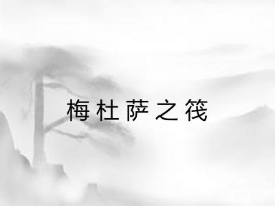 梅杜萨之筏