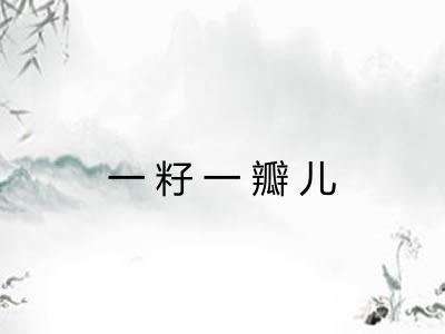 一籽一瓣儿