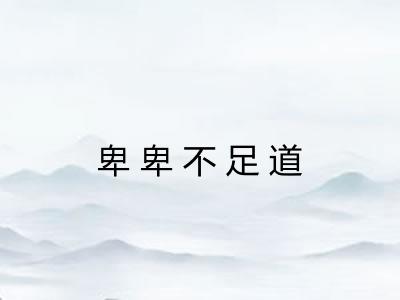 卑卑不足道