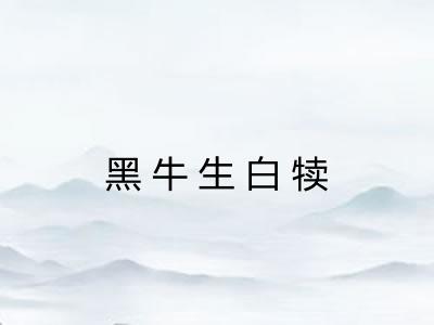 黑牛生白犊